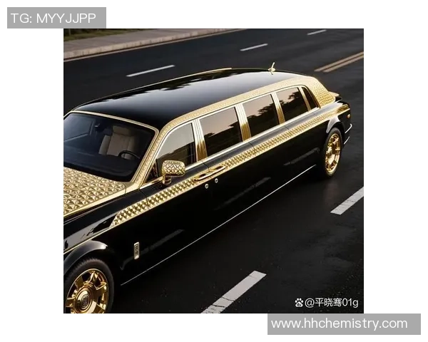 豪门气度与国际风范的完美交融展现出无与伦比的魅力与风采 豪门气度与国际风范的完美交融展现出无与伦比的魅力与风采