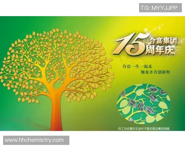 携手并进共筑辉煌未来与巅峰同行的美好愿景