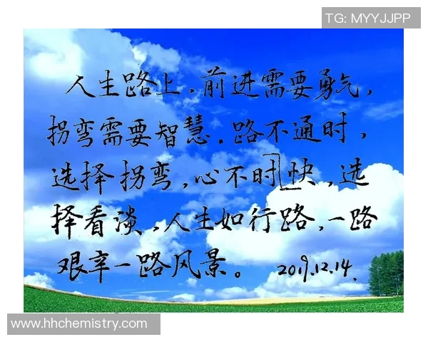 选择巅峰之路成就人生辉煌成功的智慧与勇气