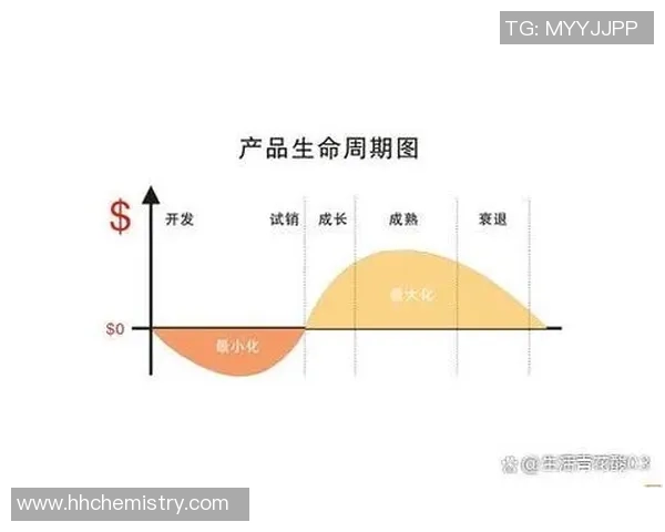 长运娱乐技术风险管控策略探讨与实践经验分享